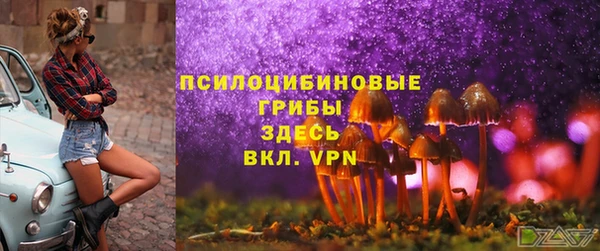 каннабис Алзамай