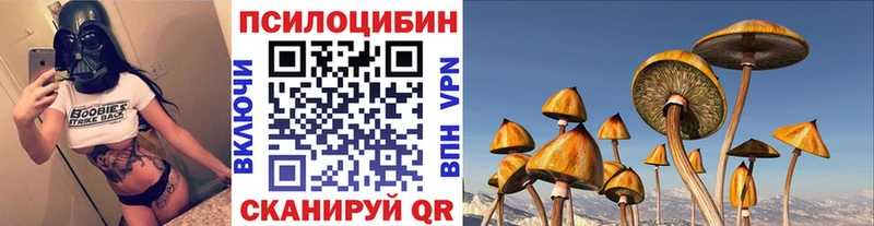 Псилоцибиновые грибы MAGIC MUSHROOMS ОМГ ОМГ как войти Пошехонье